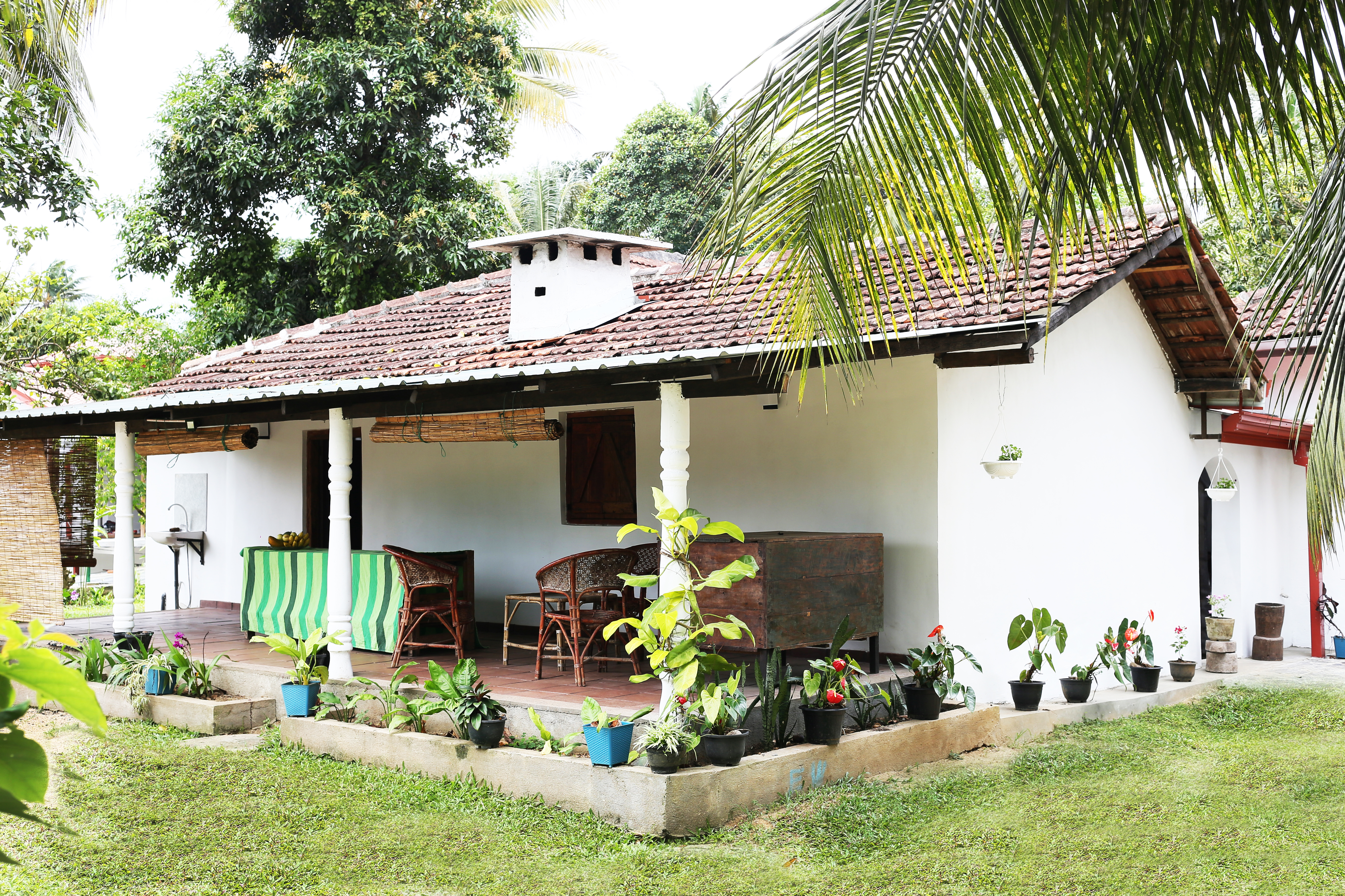 Outdoor garden seating area at Lion Shade Bungalow