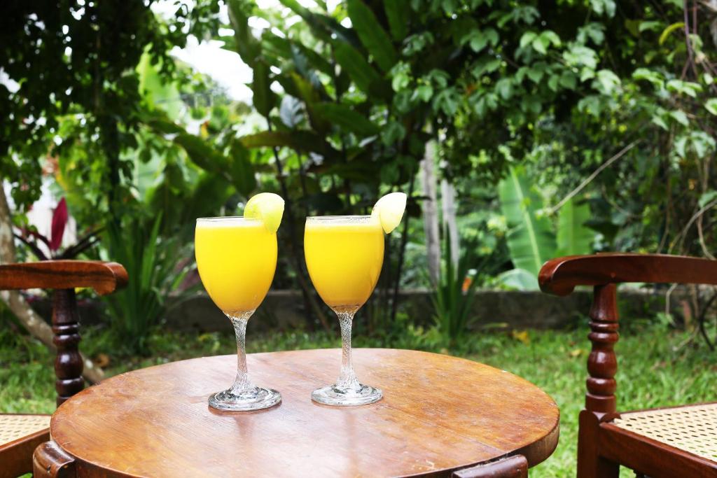 Refreshing tropical drinks served in garden